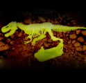 Sada pro malých archeológov – Tyranosaurus Rex