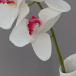 Umelé kvety orchidea - biela